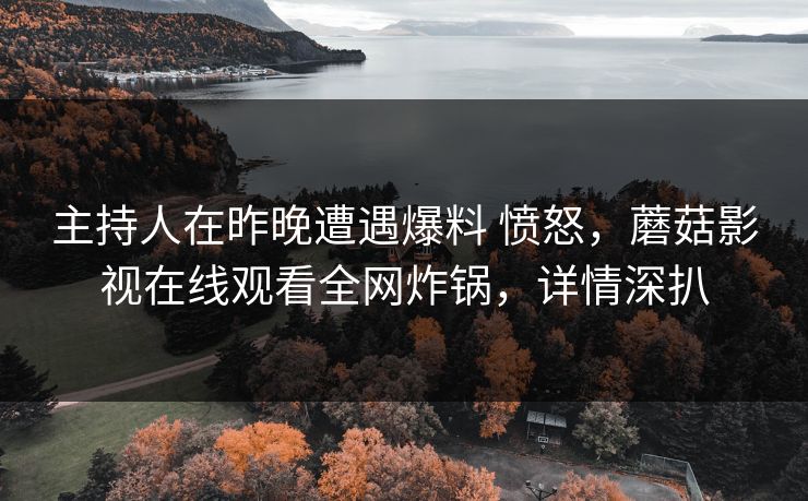 主持人在昨晚遭遇爆料 愤怒，蘑菇影视在线观看全网炸锅，详情深扒