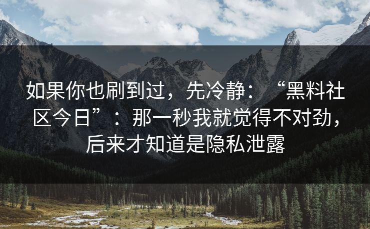 如果你也刷到过，先冷静：“黑料社区今日”：那一秒我就觉得不对劲，后来才知道是隐私泄露