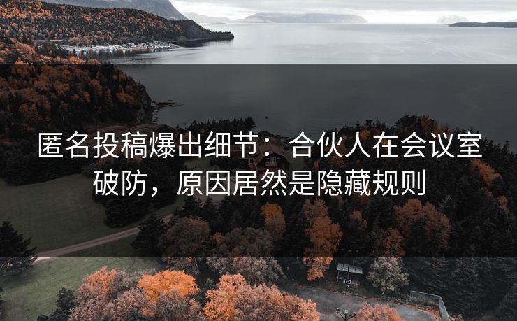 匿名投稿爆出细节：合伙人在会议室破防，原因居然是隐藏规则